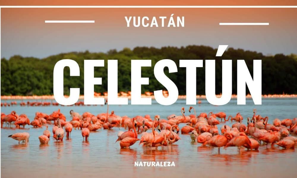 Celustún Yucatán Foto. Youtube