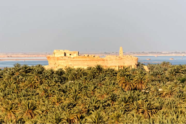 Conocer al increíble Egipto Foto NeferTiyi