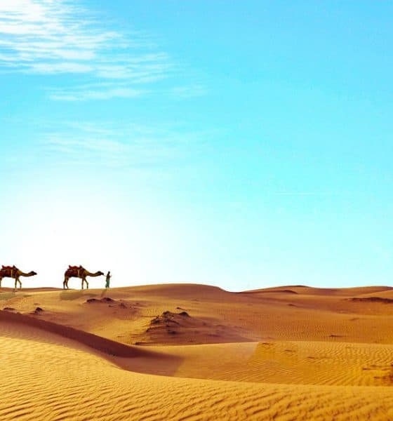Conocer al increíble Egipto. Foto: Pixabay