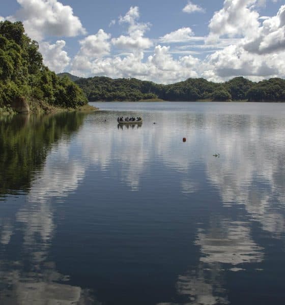 Aventura en la Selva Lacandona Foto: Pixabay