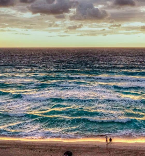 Playas de México Foto: Pixabay