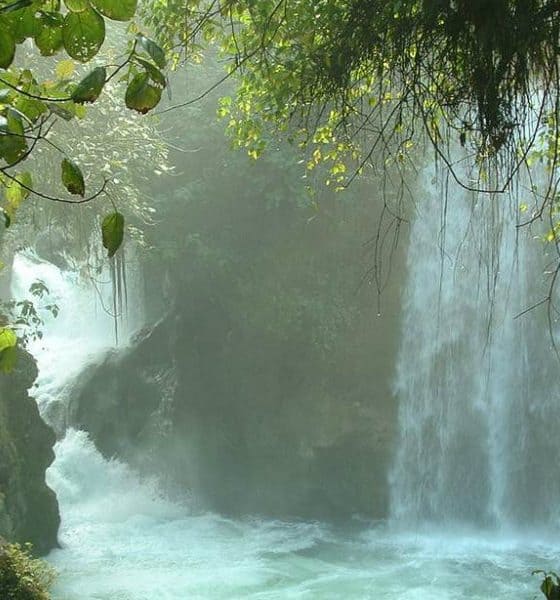 Huasteca Potosina Foto: Psau