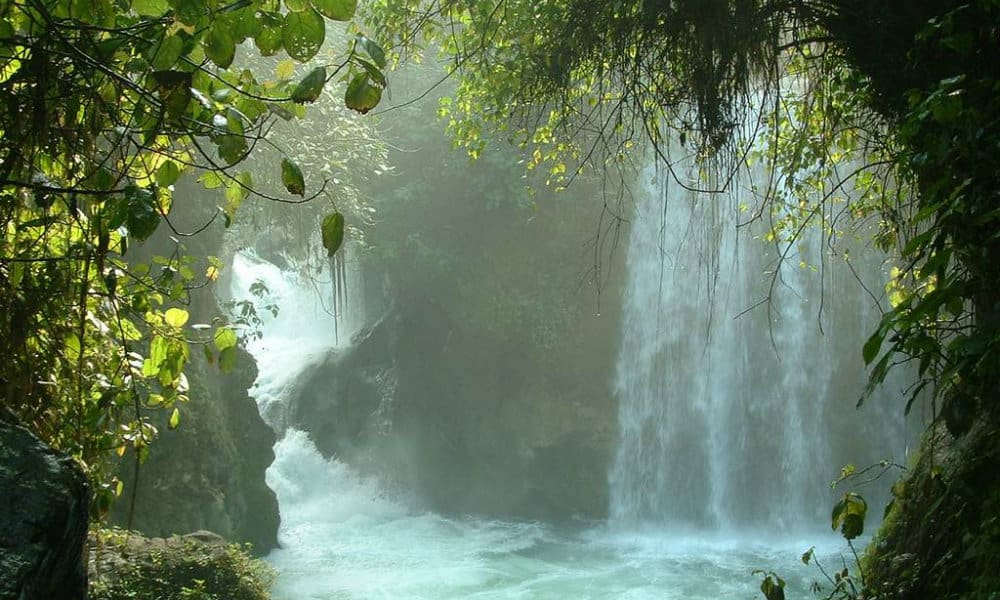 Huasteca Potosina Foto: Psau