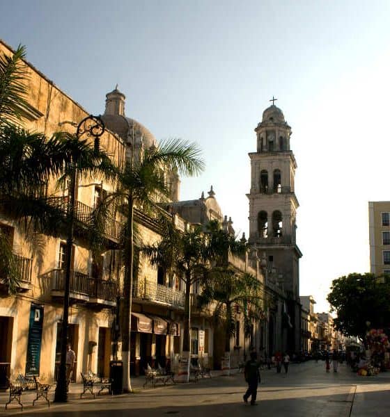 Volver a Veracruz Foto Christopher Rose