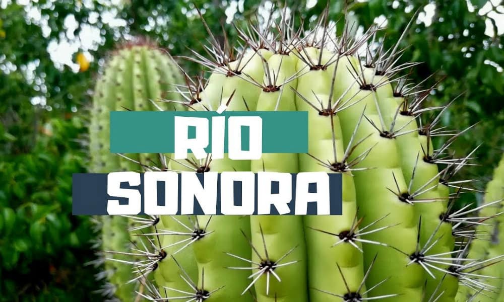 Ruta del Río Sonora (2) Foto:Youtube