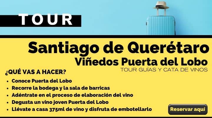 Tour Santiago de Querétaro, Viñedos Puerta del Lobo. Arte El Souvenir