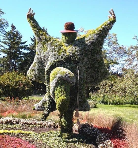Jardines botánicos. Foto: Pixabay