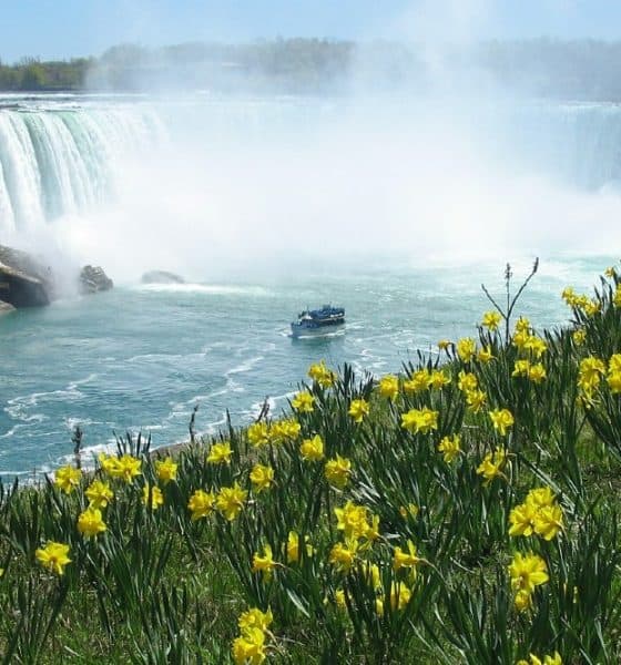 Sitios de Canadá. Foto: Pixabay