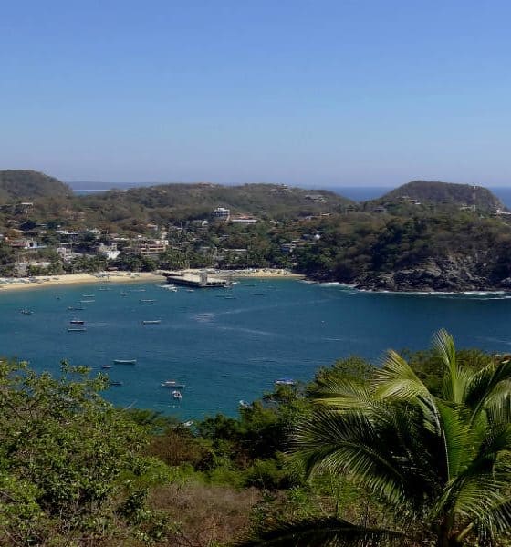 Puerto Ángel Foto: Adam Jones