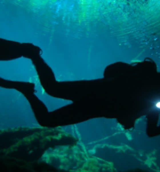 Buzo Foto: Latitud Scuba