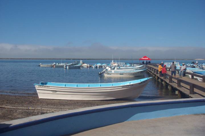 Puerto López Mateos Foto: Ian Wright