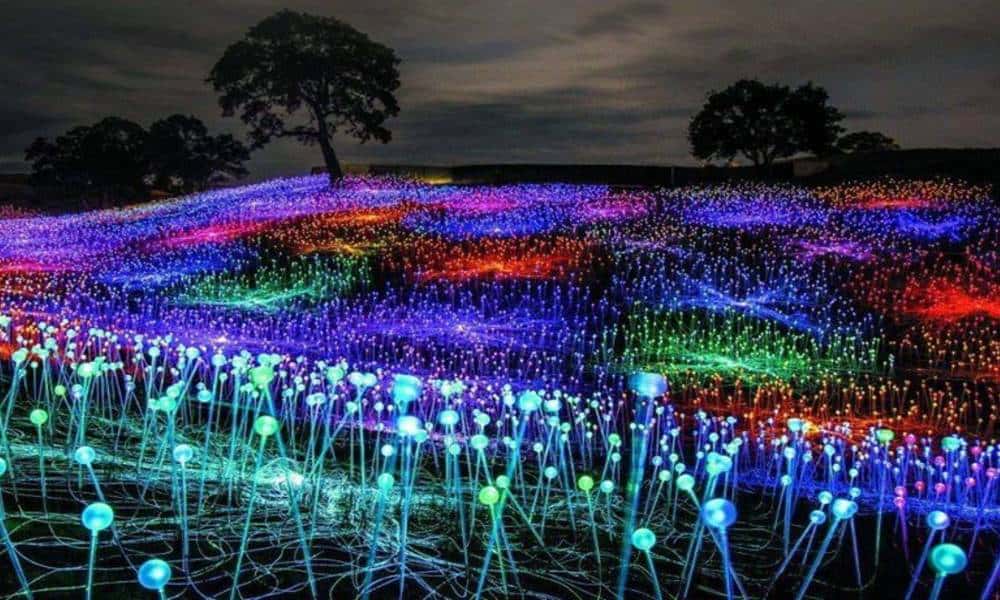 Los Jardines Brookgreen se llenan de luz con sus “flores” El Souvenir