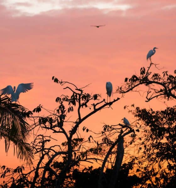 San Blas Plan B Foto Alan Harper 2