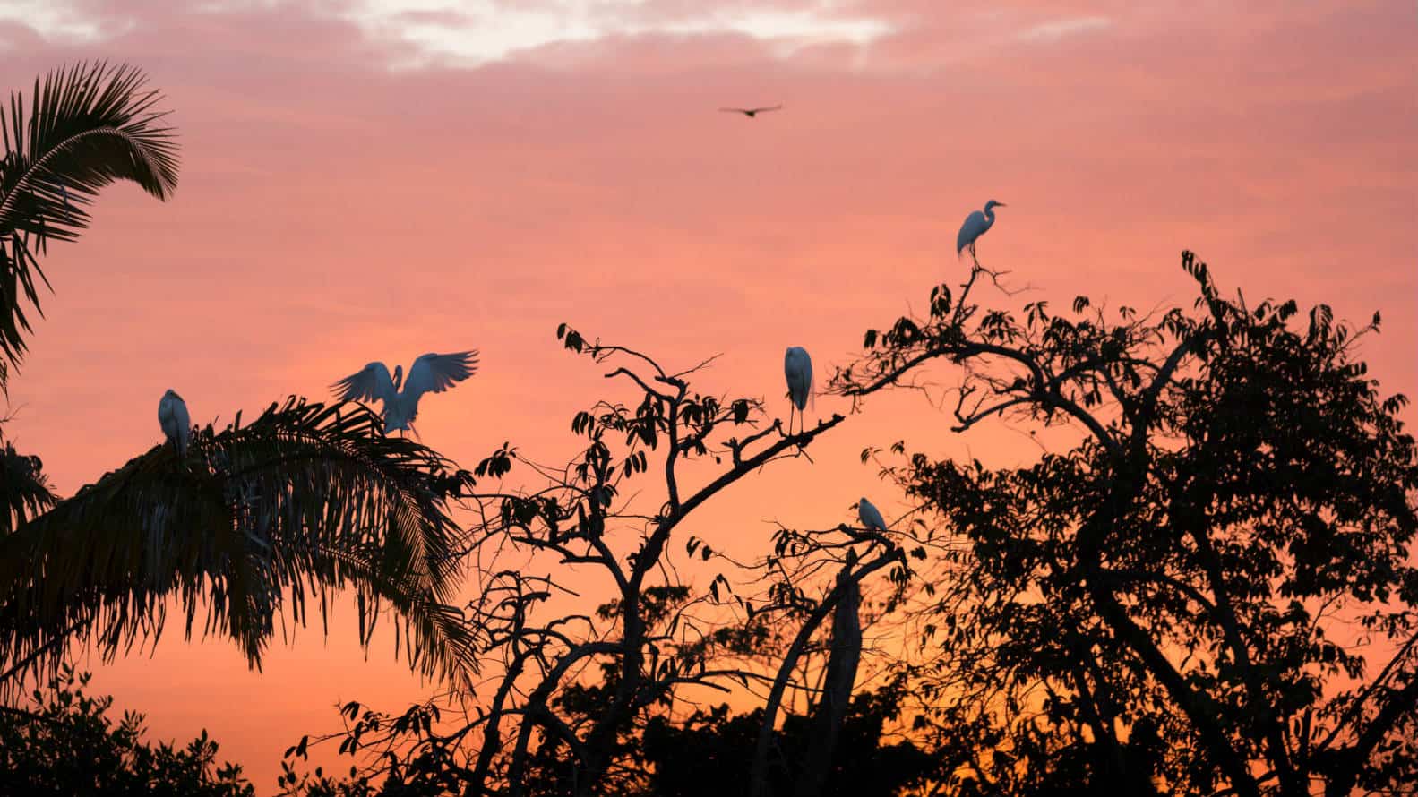 San Blas Plan B Foto Alan Harper 2