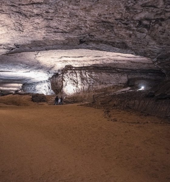 Cueva del Mamut Foto Don Sniegowski