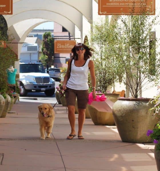 San Diego destino pet friendly Foto SanDiego.org