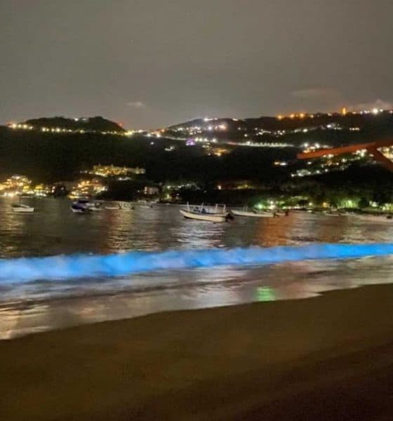 Bioluminiscencia en playa de Acapulco Foto Elle