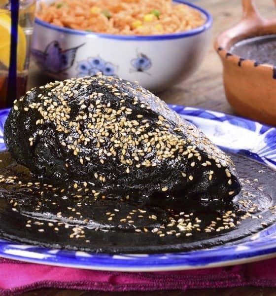 Mole de Oaxaca Foto Kiwilimon