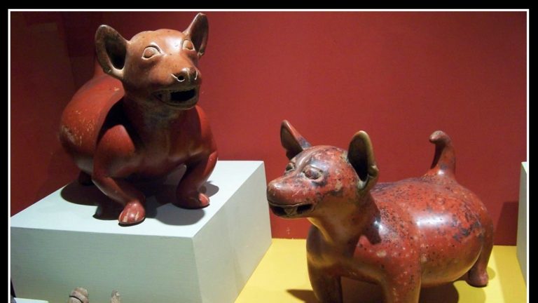 ¡Conoce la raza Tlalchichi y su escultura! El tesoro prehispánico que ...