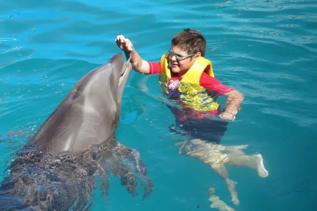 Puedes interactuar con delfines Foto Tripadvisor