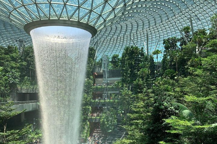 Bosque y Vortex en el Aeropuerto Changi de Singapur Foto: The Traveller Hut
