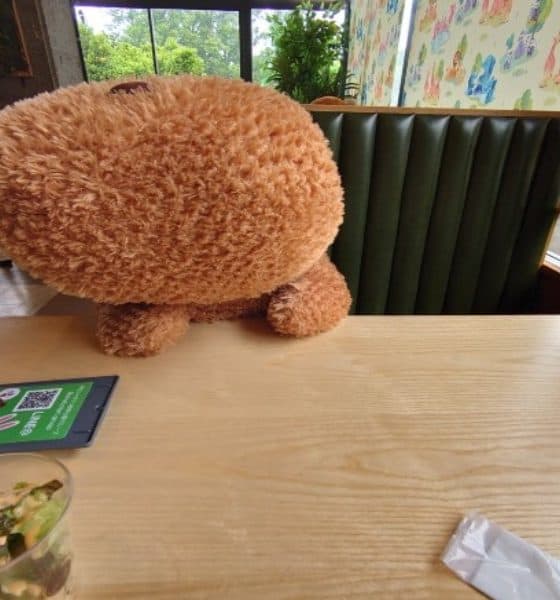 Capibaras en café de Japón Foto @chacha0rca | Twitter