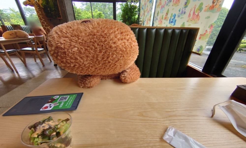 Capibaras en café de Japón Foto @chacha0rca | Twitter