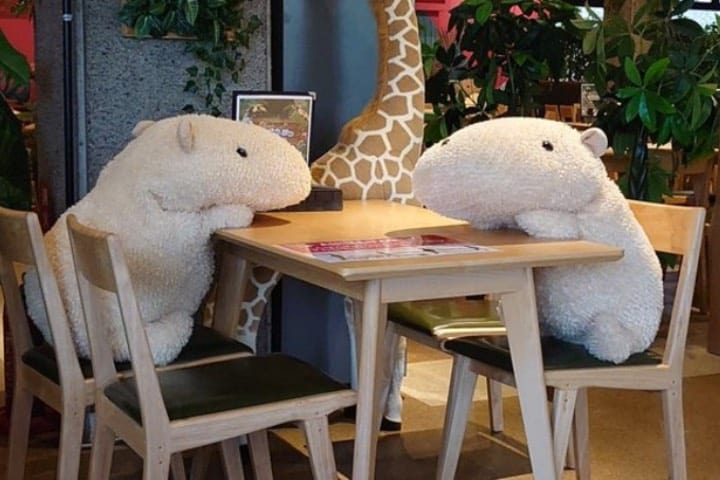 Disfruta de la compañía de un capibara en un café de Japón Foto @chacha0rca | Twitter