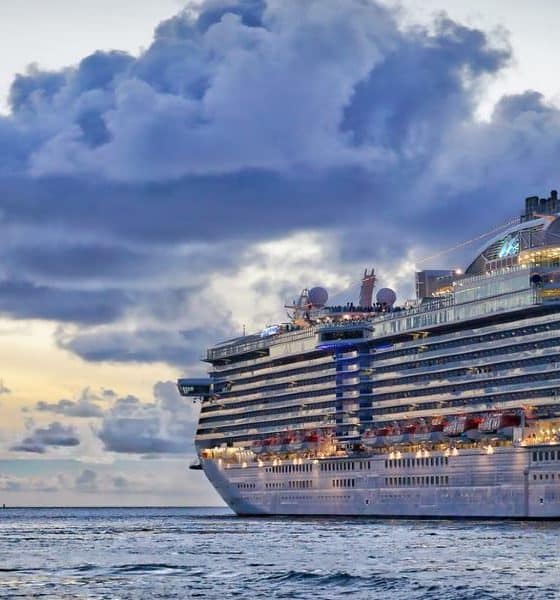 Puedes ver un crucero navegando por la app Cruise Mapper Foto: Peter Hansen