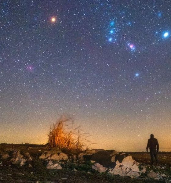 Astroturismo en Alqueva. Foto: Dark Sky Alqueva.