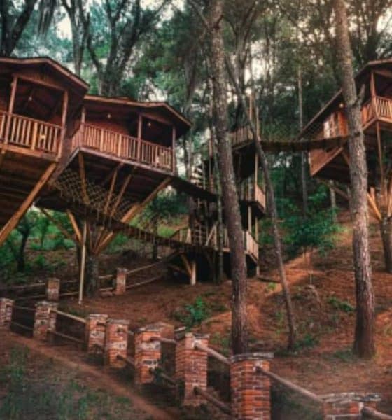 Cabañas Kali Tree Foto: Kali Tree. Facebook