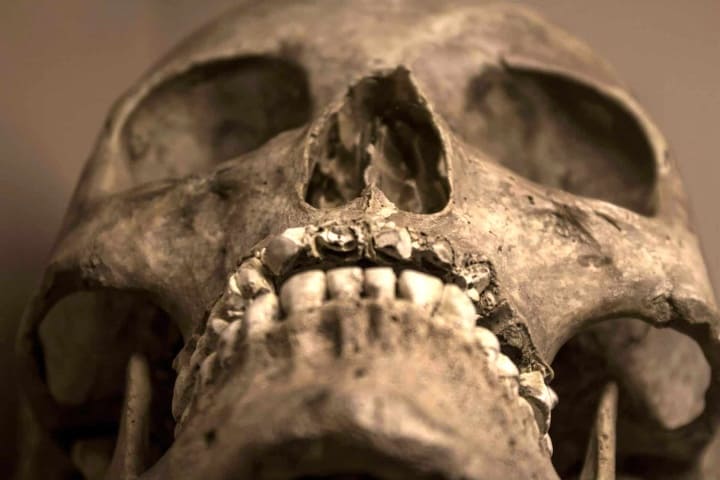 Cráneo humano. Foto: Curiosoando