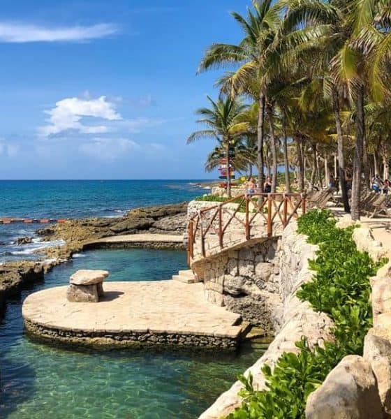 Cómo llegar a Xcaret Foto: Xcaret | Facebook