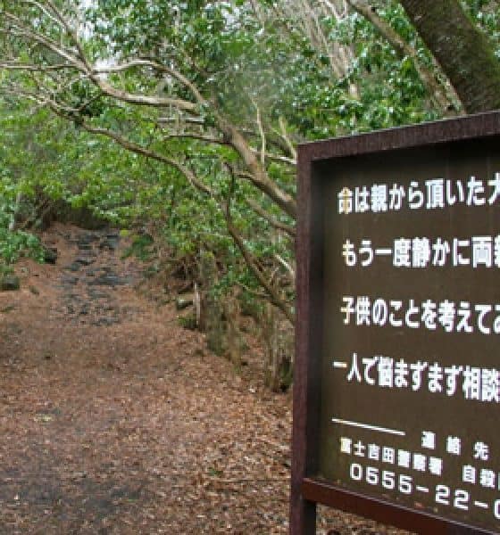 Entrada al Bosque. Foto: La Sexta