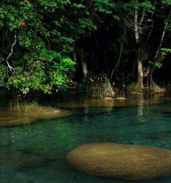 Laguna Miramar. Foto: Pinterest