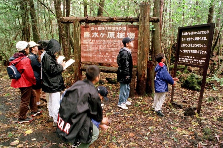 Turistas en Aokigahara. Foto de redes