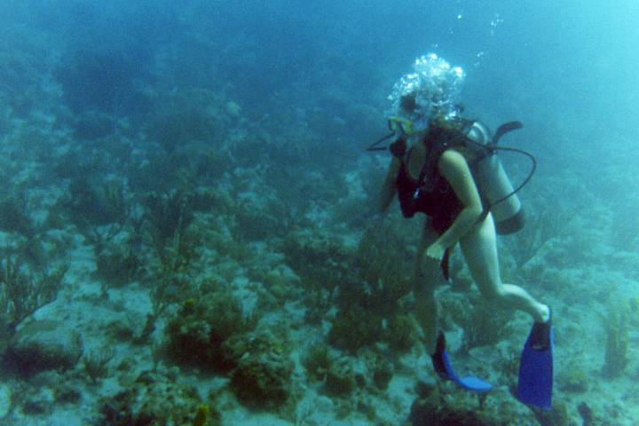 Arrecife Mesoamericano en Quintana Roo
