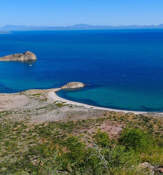 Ven a descubrir las maravillas que espera por ofrecerte la Isla Tiburón.
