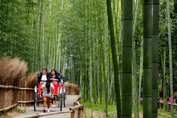 Kioto, lugar magico, Bosque de bambú Arashiyama. Foto Jessie Lee Unsplash