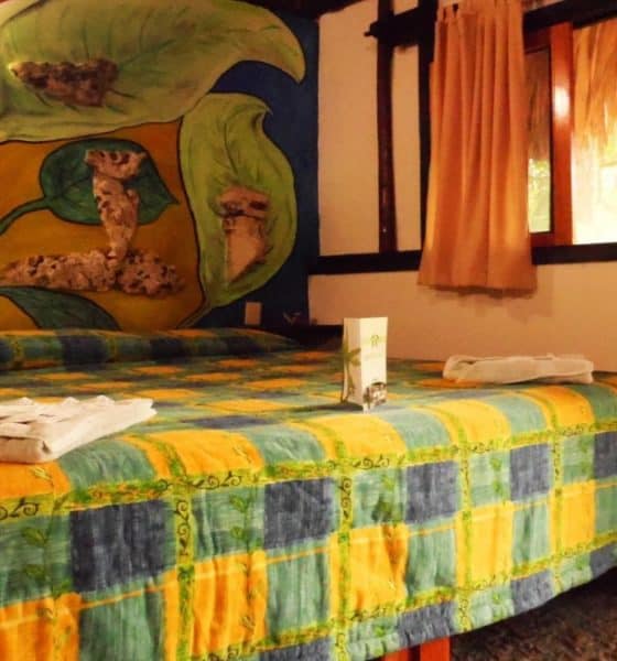 Cabañas Safari. Foto: Cabañas Safari | Face