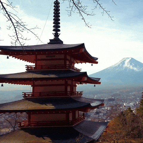 Monut-Fuji-Traveloka