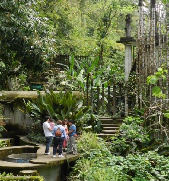 Una experiencia sanitaria ideal para visitar el Jardín Escultórico Edward James Foto: Mathew Holmes