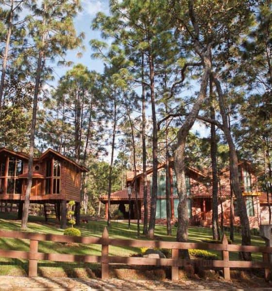 Admira las bellezas que se esconden en Mazamitla. Foto: GDL Tours