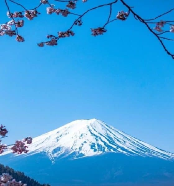 La vista que ofrece que Monte Fuji parece de fotografía. Foto: Periodista en Japón