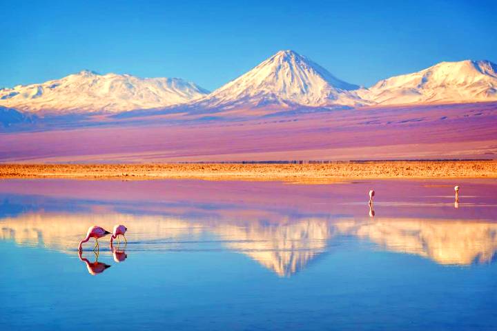 Atacama no es un desierto cualquiera. Foto: Viajes National Geographic