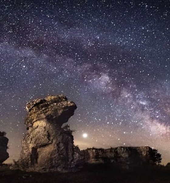 Admira el cielo estrellado de La Palma. Foto: Official Stoppers