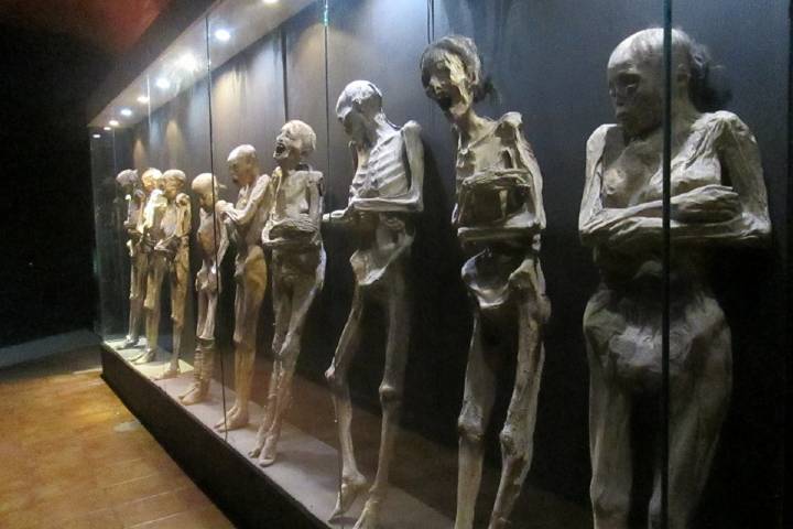 Conoce las momias más famosas de Guanajuato. Foto Museo Momias de Guanajuato