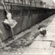 Historia del muro de Berlín. Portada. Foto: Ruthasis Green Dog
