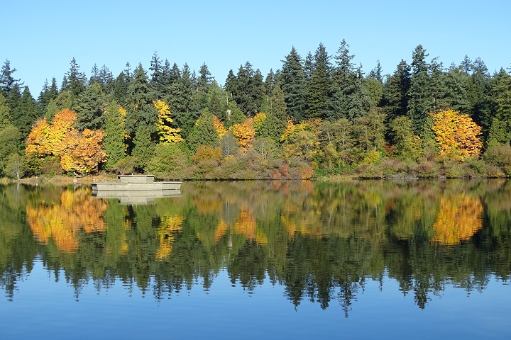 Lost Lagoon del Parque Stanley. Foto: Wikipedia Commons