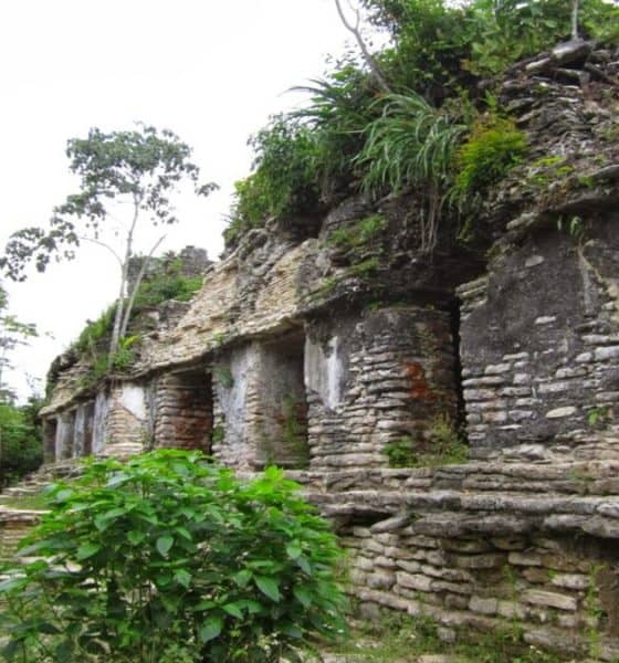 Zona Arqueológica Plan de Ayutla. Foto: México en imágenes